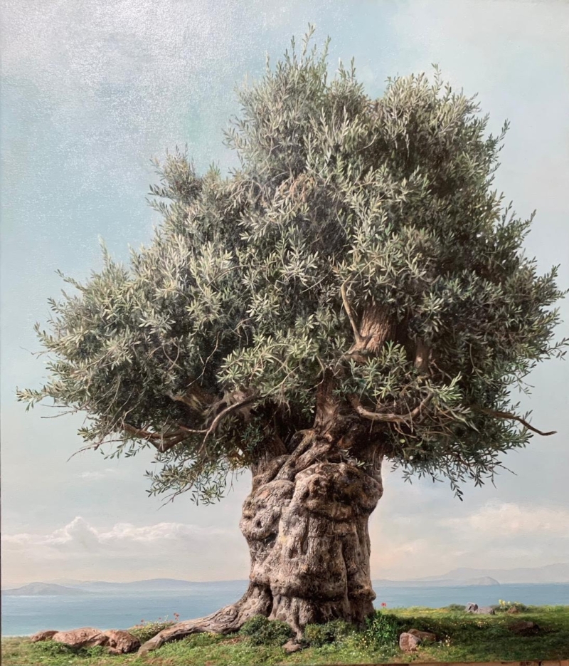 Elidon Hoxha - Olive Tree