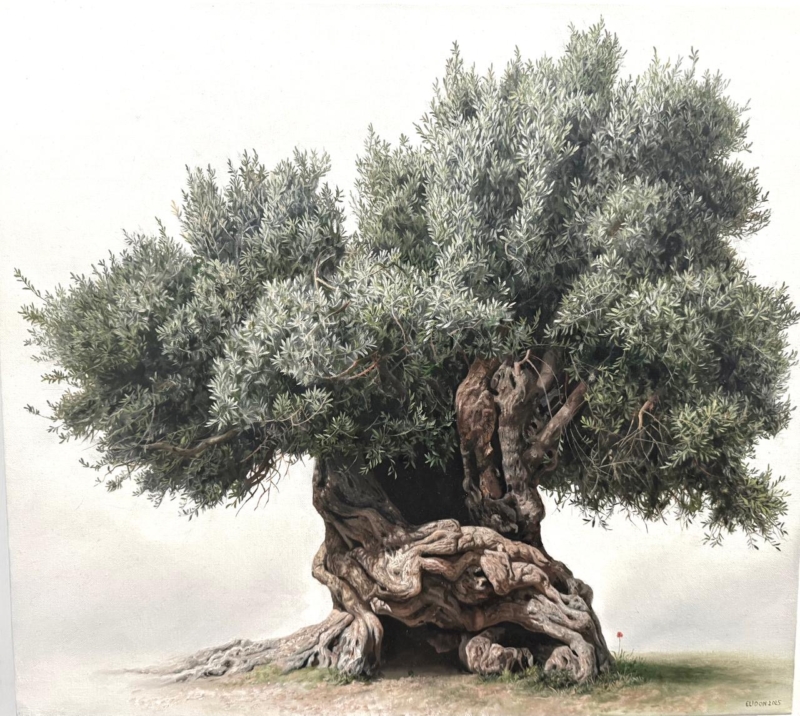 Elidon Hoxha - Olive Tree
