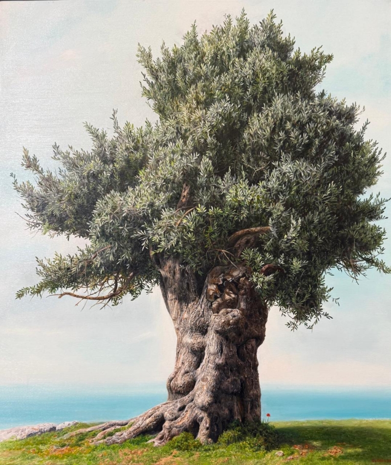Elidon Hoxha - Olive Tree